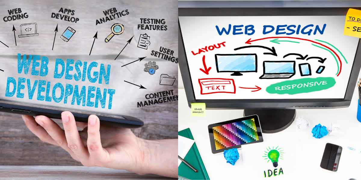 Role Difference Between A Web Developer And A Web Designer